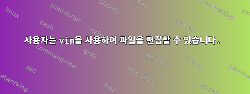 사용자는 vim을 사용하여 파일을 편집할 수 있습니다.