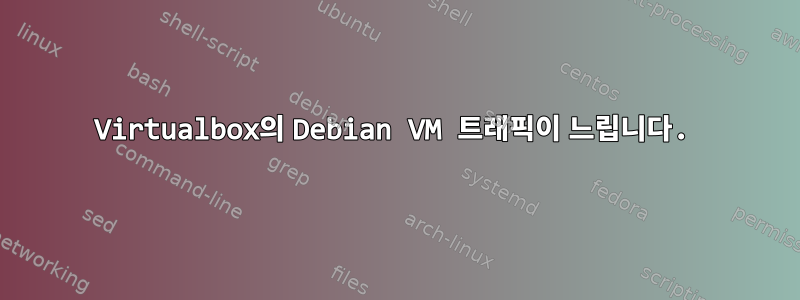 Virtualbox의 Debian VM 트래픽이 느립니다.