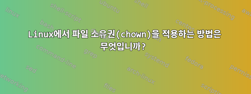 Linux에서 파일 소유권(chown)을 적용하는 방법은 무엇입니까?