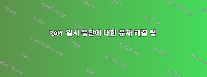 RAM 일시 중단에 대한 문제 해결 팁