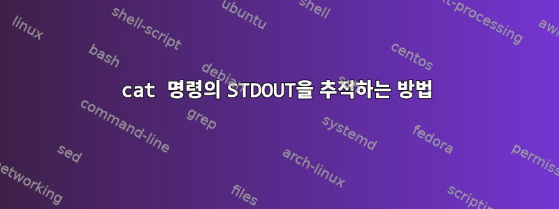 cat 명령의 STDOUT을 추적하는 방법