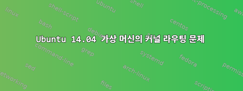 Ubuntu 14.04 가상 머신의 커널 라우팅 문제