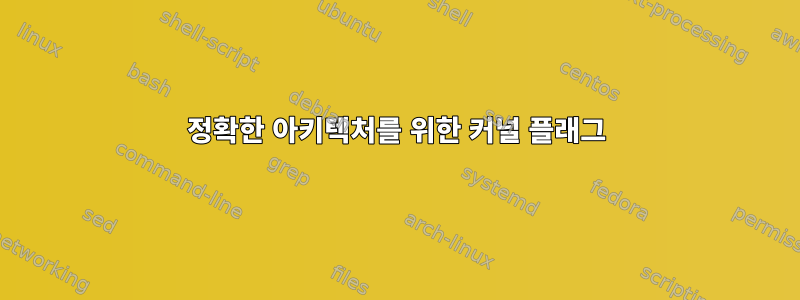 정확한 아키텍처를 위한 커널 플래그