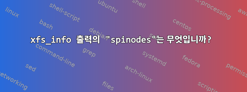 xfs_info 출력의 "spinodes"는 무엇입니까?