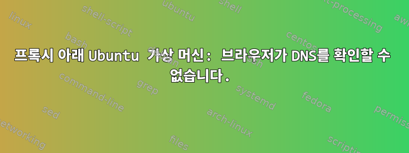 프록시 아래 Ubuntu 가상 머신: 브라우저가 DNS를 확인할 수 없습니다.