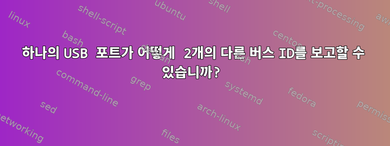 하나의 USB 포트가 어떻게 2개의 다른 버스 ID를 보고할 수 있습니까?