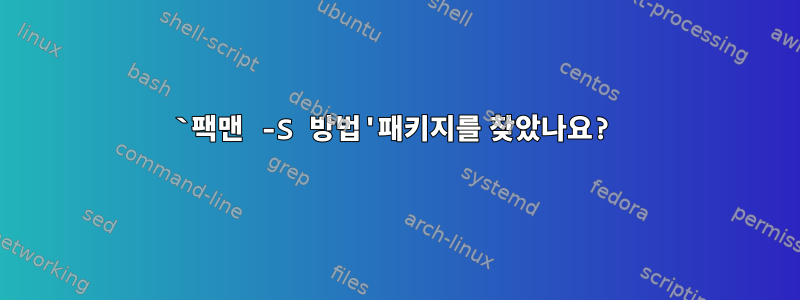 `팩맨 -S 방법'패키지를 찾았나요?