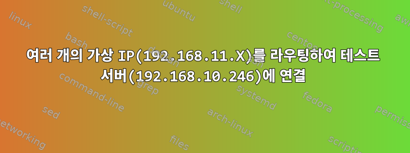 여러 개의 가상 IP(192.168.11.X)를 라우팅하여 테스트 서버(192.168.10.246)에 연결