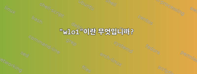 "wlo1"이란 무엇입니까?