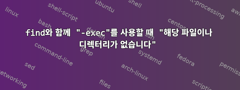 find와 함께 "-exec"를 사용할 때 "해당 파일이나 디렉터리가 없습니다"