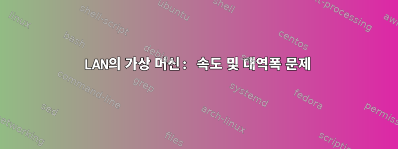 LAN의 가상 머신: 속도 및 대역폭 문제