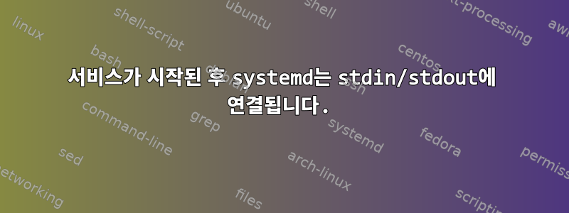 서비스가 시작된 후 systemd는 stdin/stdout에 연결됩니다.