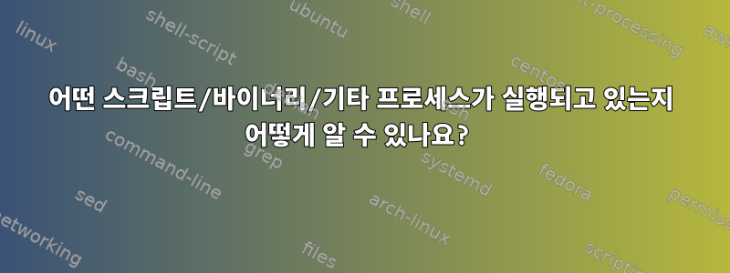 어떤 스크립트/바이너리/기타 프로세스가 실행되고 있는지 어떻게 알 수 있나요?