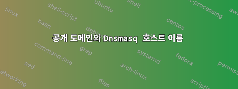 공개 도메인의 Dnsmasq 호스트 이름