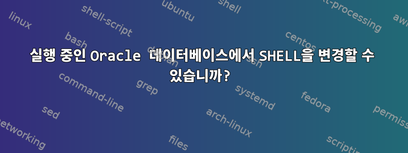 실행 중인 Oracle 데이터베이스에서 SHELL을 변경할 수 있습니까?