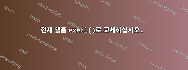 현재 쉘을 execl()로 교체하십시오.