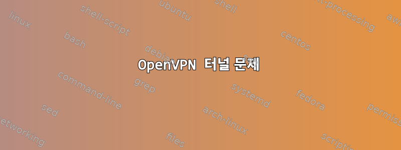 OpenVPN 터널 문제