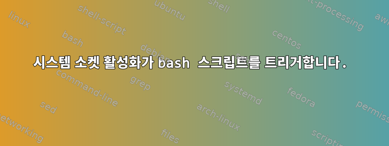 시스템 소켓 활성화가 bash 스크립트를 트리거합니다.