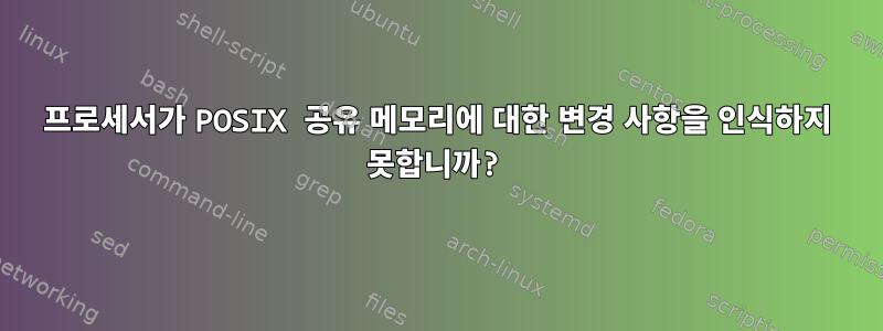 프로세서가 POSIX 공유 메모리에 대한 변경 사항을 인식하지 못합니까?