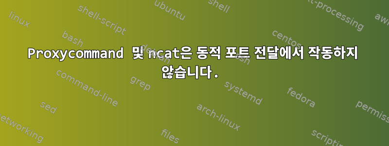 Proxycommand 및 ncat은 동적 포트 전달에서 작동하지 않습니다.