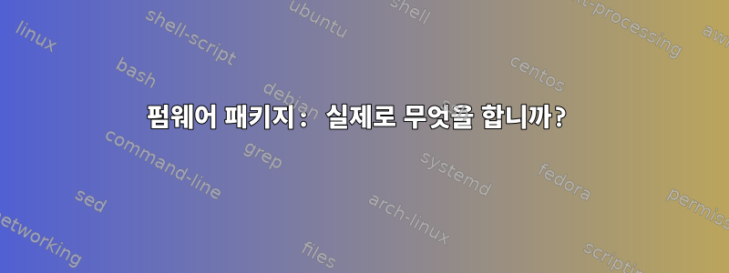 펌웨어 패키지: 실제로 무엇을 합니까?