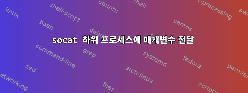 socat 하위 프로세스에 매개변수 전달