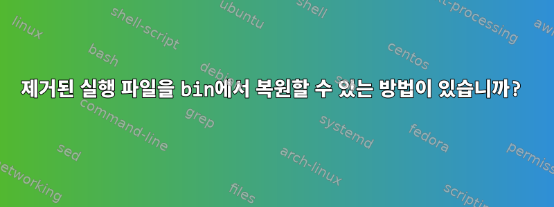 제거된 실행 파일을 bin에서 복원할 수 있는 방법이 있습니까?