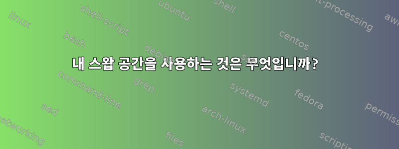 내 스왑 공간을 사용하는 것은 무엇입니까?