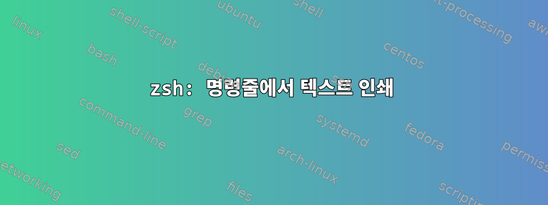 zsh: 명령줄에서 텍스트 인쇄