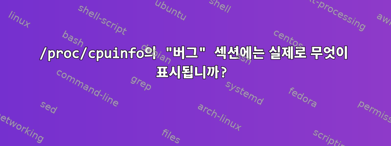 /proc/cpuinfo의 "버그" 섹션에는 실제로 무엇이 표시됩니까?