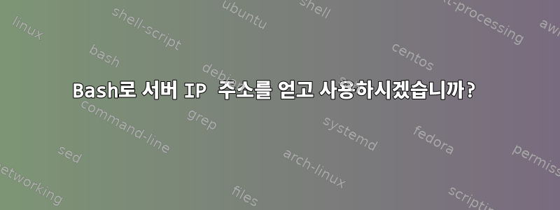 Bash로 서버 IP 주소를 얻고 사용하시겠습니까?