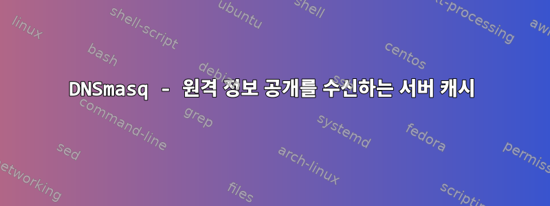 DNSmasq - 원격 정보 공개를 수신하는 서버 캐시