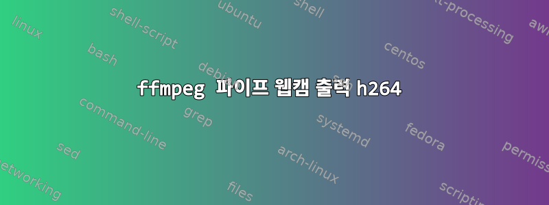 ffmpeg 파이프 웹캠 출력 h264