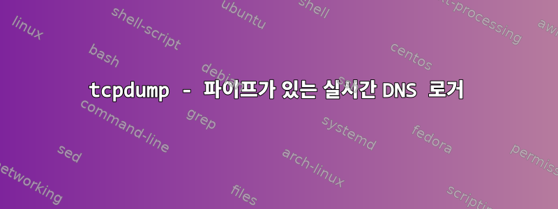 tcpdump - 파이프가 있는 실시간 DNS 로거