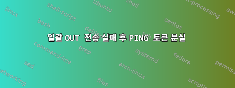 일괄 OUT 전송 실패 후 PING 토큰 분실