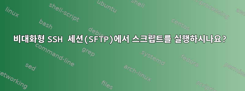 비대화형 SSH 세션(SFTP)에서 스크립트를 실행하시나요?