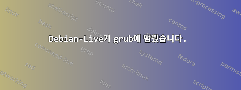 Debian-Live가 grub에 멈췄습니다.