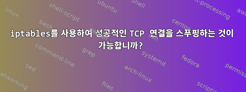 iptables를 사용하여 성공적인 TCP 연결을 스푸핑하는 것이 가능합니까?