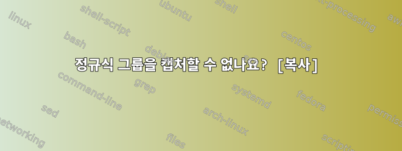 정규식 그룹을 캡처할 수 없나요? [복사]