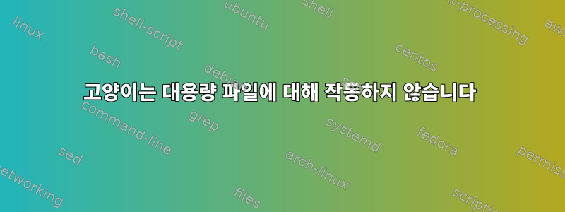 고양이는 대용량 파일에 대해 작동하지 않습니다