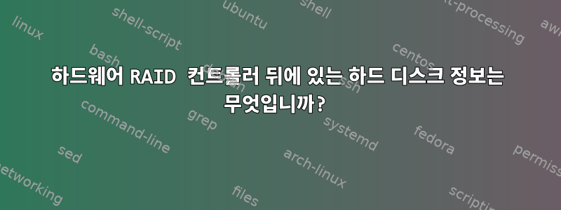 하드웨어 RAID 컨트롤러 뒤에 있는 하드 디스크 정보는 무엇입니까?