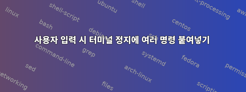 사용자 입력 시 터미널 정지에 여러 명령 붙여넣기