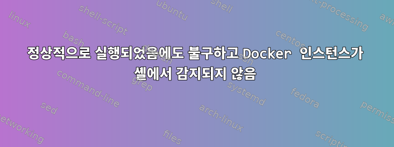 정상적으로 실행되었음에도 불구하고 Docker 인스턴스가 셸에서 감지되지 않음