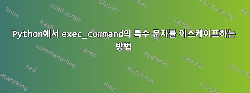 Python에서 exec_command의 특수 문자를 이스케이프하는 방법