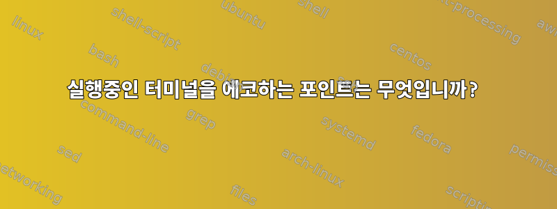 실행중인 터미널을 에코하는 포인트는 무엇입니까?