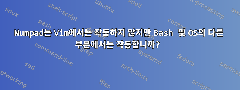 Numpad는 Vim에서는 작동하지 않지만 Bash 및 OS의 다른 부분에서는 작동합니까?