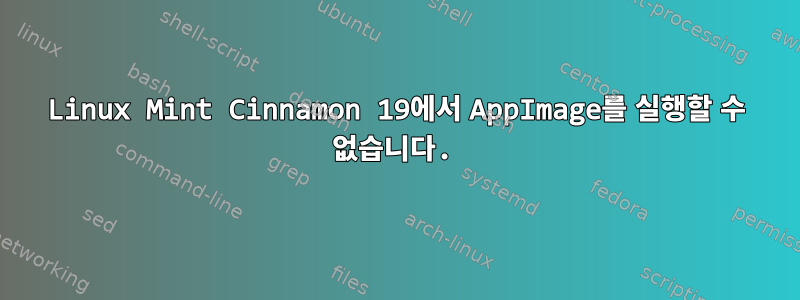 Linux Mint Cinnamon 19에서 AppImage를 실행할 수 없습니다.