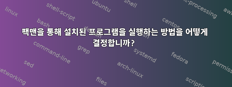 팩맨을 통해 설치된 프로그램을 실행하는 방법을 어떻게 결정합니까?