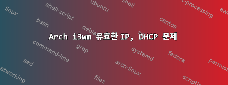 Arch i3wm 유효한 IP, DHCP 문제