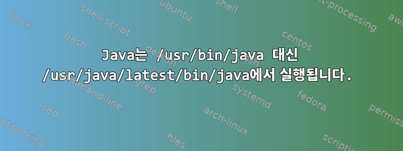 Java는 /usr/bin/java 대신 /usr/java/latest/bin/java에서 실행됩니다.